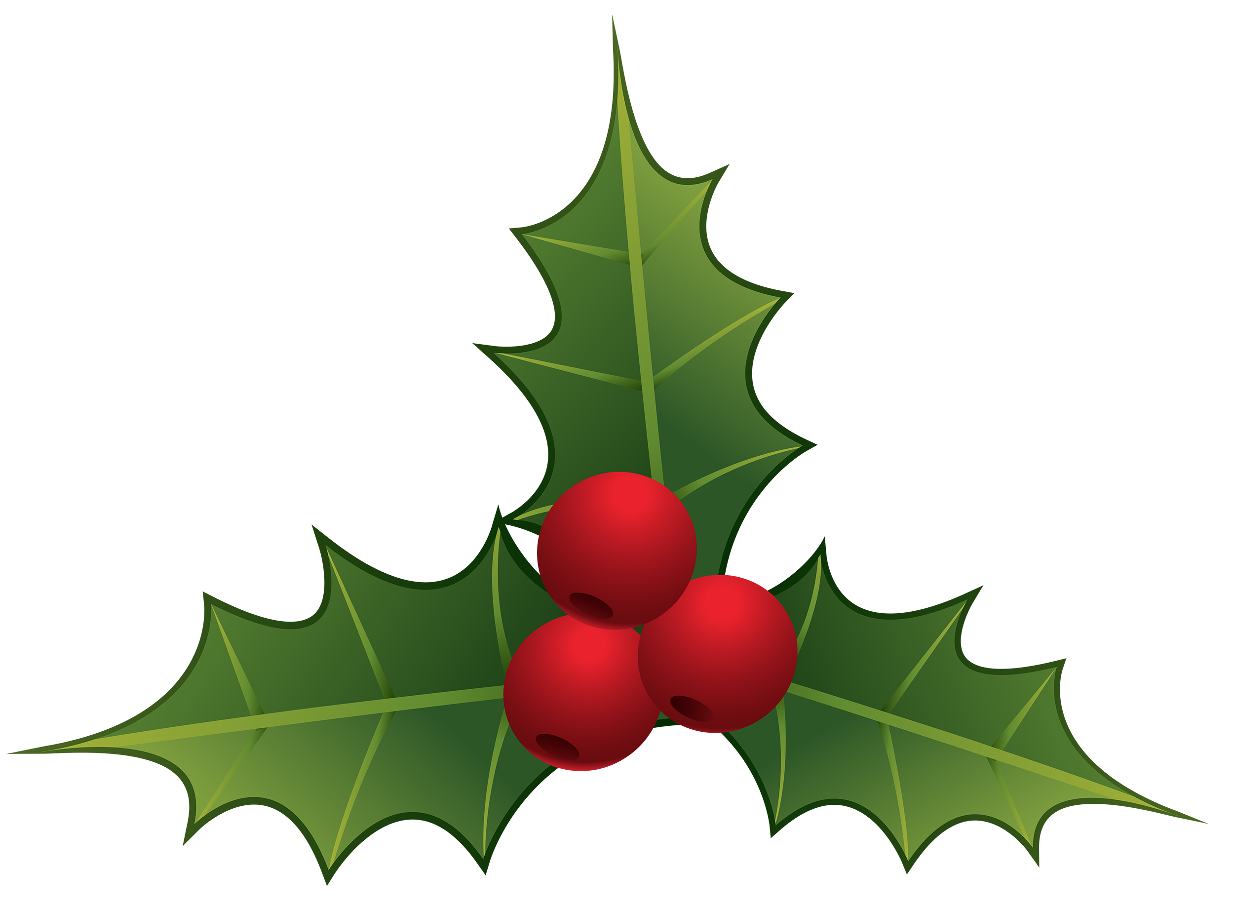 mistletoe